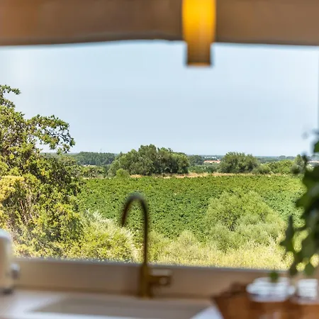 Les De Chateau Roussillon - Les Collection شقة فندقية بيربينيو